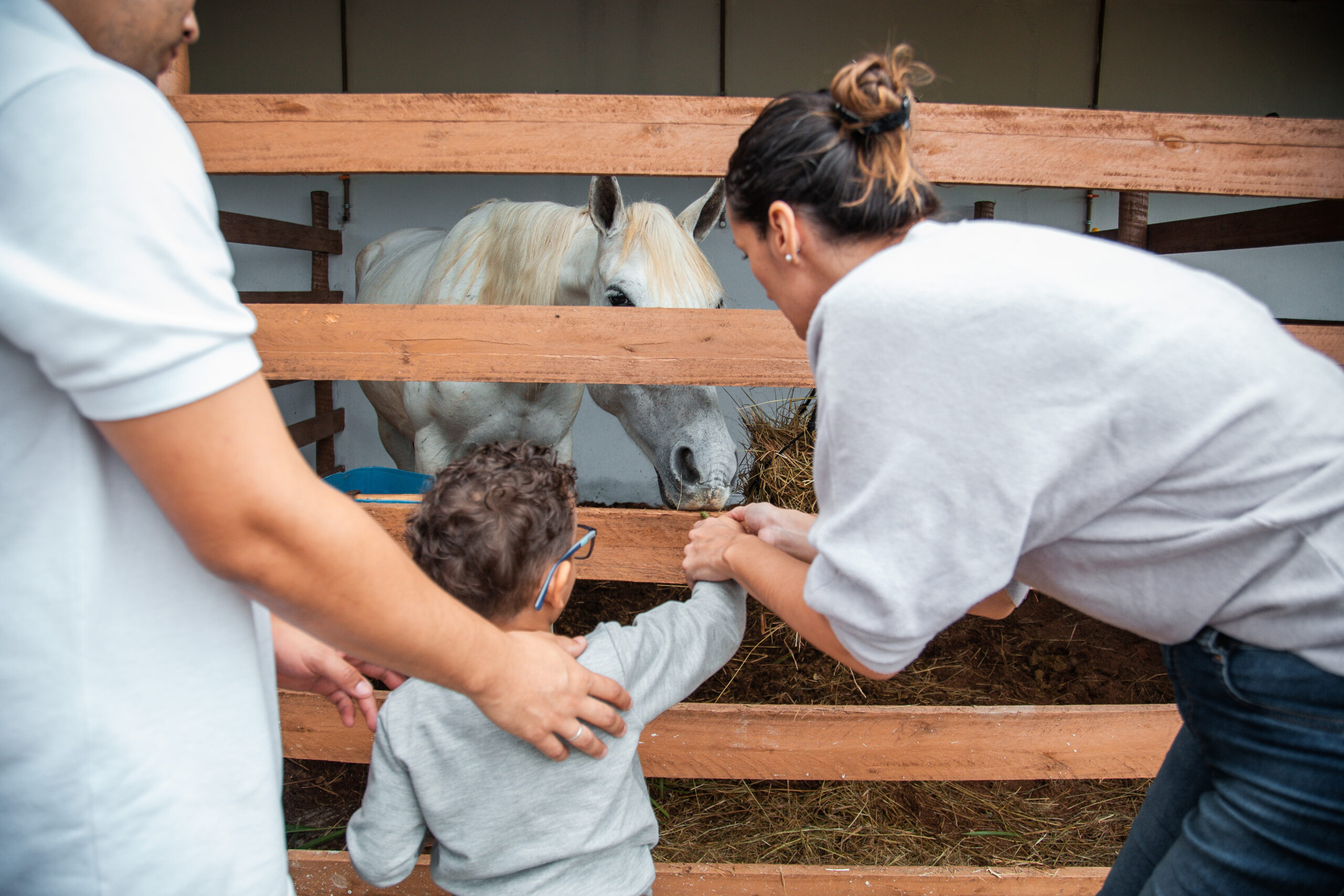 Crian&ccedil;a acariciando um cavalo branco com o auxilio de uma profissional
